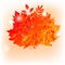 Vector autumn bouquet made of maple and other leaves in grunge style