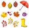 Vector autumn,fall collection,set. Foliage,leaves,umbrella,boots,berries,coffee. Autumn colors. Big collection for your design