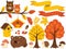 Vector Autumn Forest Set with Cute Fox, Owls, Mushrooms, Birdhouses. Vector Autumn Set. Fall Clipart