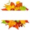Vector autumn frame with fall leaf 2