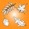 Vector autumn hand drawn set of leaves oak, mountain ash, maple, acorn. Sketch style illustrations