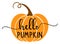 Vector autumn quote Hello Pumpkin with autumn pumpkin isolated on white background.