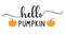 Vector autumn quote Hello Pumpkin with autumn pumpkin isolated on white background.