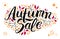 Vector autumn sale lettering with hand drawn leaves and berries. Fall doodle poster, card, label, banner, flyer