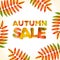 Vector autumn square background, yellow orange leaves and the inscription Autumn Sale, made from yellow orange leaves