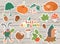 Vector autumn sticker pack. Cute fall season icons set for prints, badges.  Funny illustration of forest animals, pumpkins,