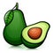 Vector avocado isolated design drawing