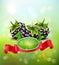 Vector background with blackberries and red ribbon