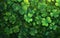 Vector background with clover leaves, St. Patrick\\\'s Day