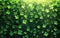 Vector background with clover leaves, St. Patrick\\\'s Day