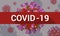 Vector background in flat style with Coronavirus cells and text `COVID-19`