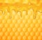 Vector background with honeycombs and honey