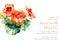 Vector background with orange watercolor nasturtium