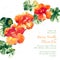 Vector background with orange watercolor nasturtium