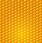 Vector background texture, yellow corn. design element