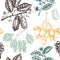 Vector background with tonic and spicy plants. Hand drawn seamless pattern with spices illustrations. Vintage aromatic elements. S