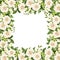 Vector background with white roses and freesia flowers.