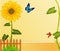 Vector background with yellow sunflowers, fence,