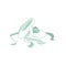 Vector ballet pointe shoes green icon with bow