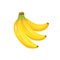 Vector banana icon