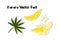 Vector banana sticker pack with fresh banana, palm tree leaf and tropical flower. Tropic plant set. Sketch style color icons isola