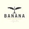 vector banana tree with vintage style logo template icon illustration design