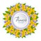 Vector banner with realistic flowers of celandine and viola. Floral 3d round wreath