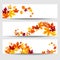 Vector banners with colorful autumn leaves.