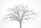 Vector bare old dry dead tree silhouette without l