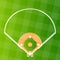 Vector baseball regular field