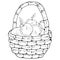 Vector of a basket with apples. Hand drawn beautiful wicker basket with apples