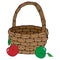 Vector of a basket with apples. Hand drawn beautiful wicker basket with apples