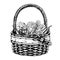 Vector basket with vegetables