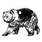 Vector bear double exposure tattoo art. Canada. Mountains, compass. Brown bear Bear grizzly silhouette t-shirt design