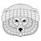 Vector Bear face in zentangle, doodle style. Hand drawn Wild animal face illustration for adult coloring pages, art therapy. Mono