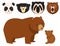 Vector bears different style funny happy animals cartoon predator cute bear character illustration