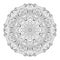 Vector Beautiful Deco Monochrome Contour Mandala