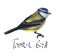 Vector beautiful illustration of bird tomtit.