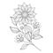 Vector Beautiful Monochrome Contour Flower