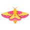 vector beautiful rosy maple moth cartoon illustration isolated