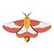 vector beautiful rosy maple moth cartoon illustration isolated