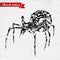 Vector Beautiful Spider, Exotic Insect. Patterned design.