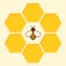 Vector bee and honeycomb icon