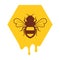 Vector bee and honeycomb icon