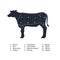 Vector beef steak diagram banner. American meat cutting. White flat cow silhouette with markup isolated on white background. Zone