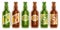 Vector Beer Bottles Set