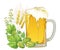 Vector beer mug with outline Hops or Humulus and ornate wheat ears on white background. Glass with lager beer.