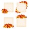 Vector beige cards with colorful autumn leaves.