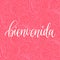 Vector Bienvenida calligraphy, spanish translation of Welcome phrase. Hand lettering on abstract pink background