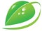 Vector big green leaf, dew drops, organic, natural, nature symbol, environment business logo, green icon symbol
